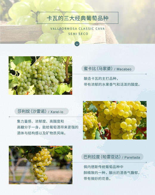【禾富玛莎卡瓦】起泡葡萄酒(干) 商品图4
