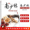南少林骨伤秘方验案（南少林骨伤流派传承工作室系列丛书）王和鸣 中国中医药出版社医学外科学骨科书籍图书 商品缩略图1