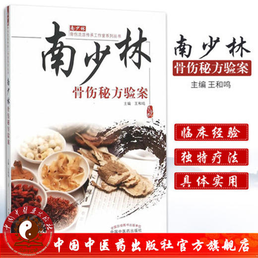 南少林骨伤秘方验案（南少林骨伤流派传承工作室系列丛书）王和鸣 中国中医药出版社医学外科学骨科书籍图书 商品图1