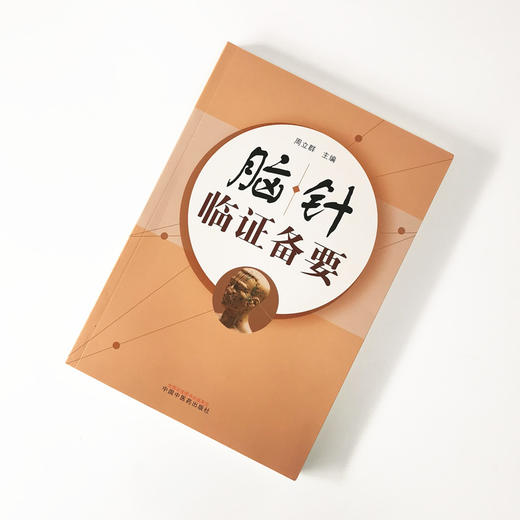 正版 现货 【出版社直销】脑针临证备要 周立群 著 中国中医药出版社  中医临床 脑针实践 诊断 病例治疗 商品图1
