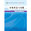 现货【出版社直销】体牙体形态与功能 全国中等医药卫生职业教育十二五规划教材 供口腔修复工艺专业用 原双斌编 中国中医药出版社 商品缩略图2