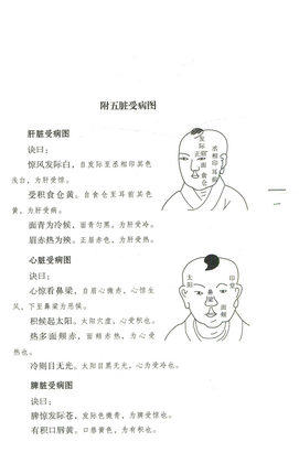 保婴全方（中国古医籍整理丛书儿科11） 宋 郑端友 著 中国中医药出版社 书籍 商品图3