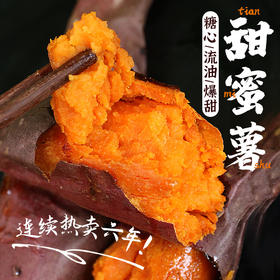 【密农特色 必买榜单】密农甜蜜薯  烤吃流油  香甜软糯  1斤 红薯