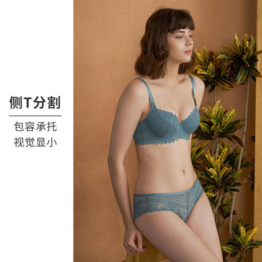 HSIA遐 内衣女薄秋色迷人蕾丝性感上托夹棉防凸点bra大胸显小文胸 商品图2