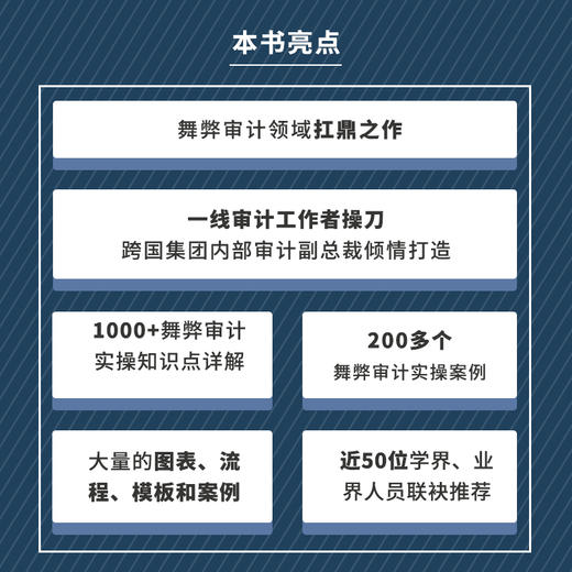 舞弊审计实务指南 商品图2