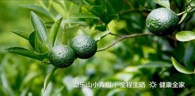 好喝和健康是什么关系？小青柑有话要说！