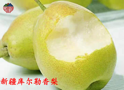 新疆库尔勒香梨  12枚装 商品图0