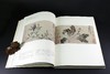 《明代花鸟画珍赏》 商品缩略图4