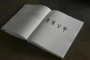 《又见老虎》 浙江人美出版社 商品缩略图2