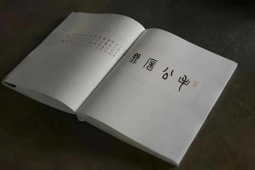 《又见老虎》 浙江人美出版社 商品图2
