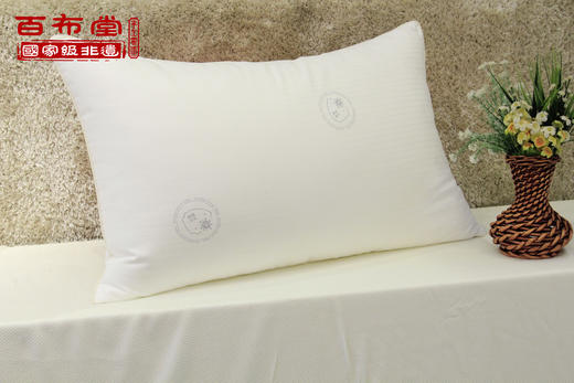 （乡村振兴商品）百布堂抗菌防螨健康枕（48*74） 商品图0