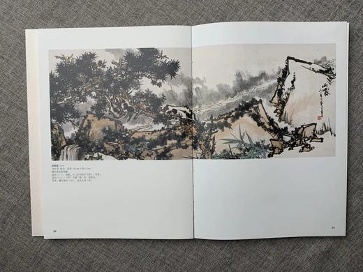 《潘天寿变体画研究》陈永怡 编 浙江人民美术出版社 商品图3