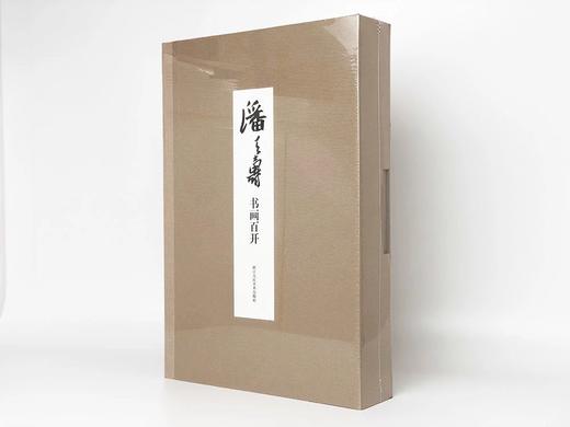 潘天寿书画百开国画精品 商品图0