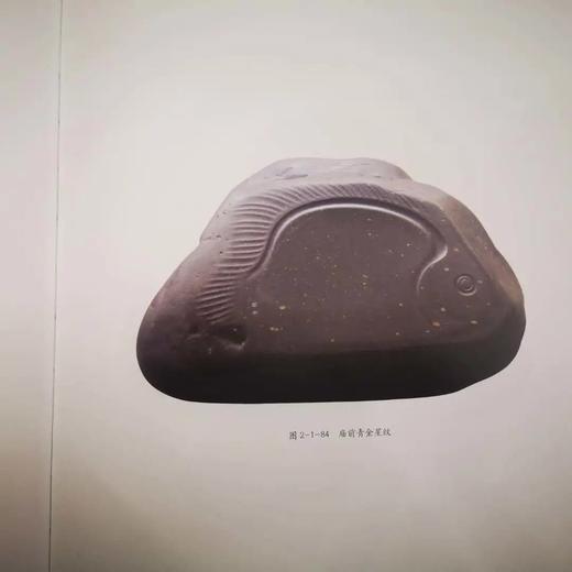 《中华砚文化汇典 砚种卷 歙砚》 胡中泰 著 人民美术出版社出版 商品图3