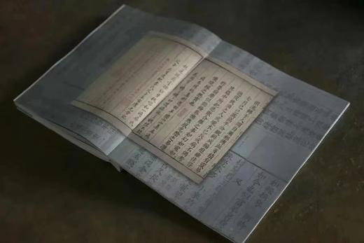 《又见老虎》 浙江人美出版社 商品图3