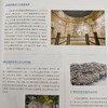 《中国收藏》2020年1月刊  总第229期  中国收藏出版社 收藏 拍卖 杂志 艺术刊物 艺术市场 商品缩略图10
