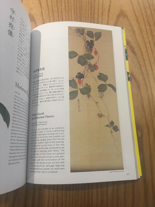优雅日本艺术：琳派花鸟 商品图6