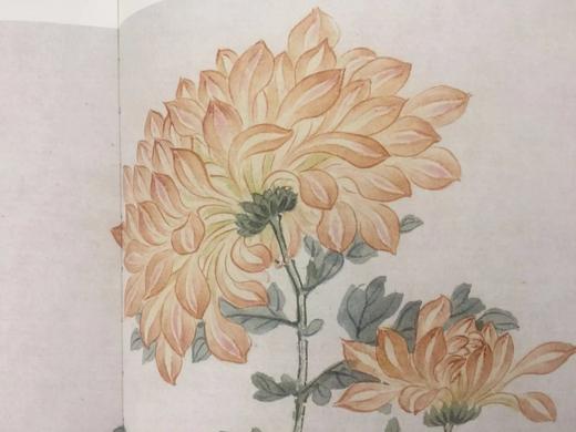 故宫画谱-中国历代名画类编系列 商品图5