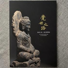 《觉世之路  犍陀罗艺术》 许志平著  藏新艺术有限公司  佛造像  雕塑  高清画册