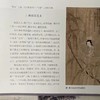 《中国收藏》2020年4月刊  总第232期  中国收藏出版社 收藏  拍卖  艺术市场  艺术杂志 商品缩略图6
