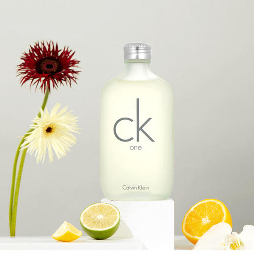 新版CK/凯文克莱 CK ONE中性男士女士香水100ML   持久清新 商品图0
