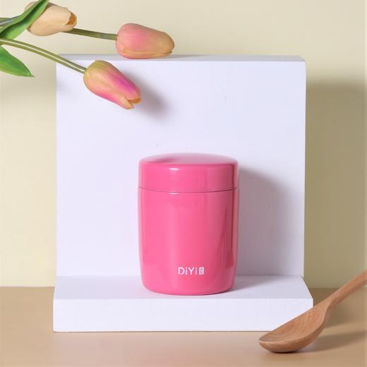 帝怡澜彩迷你焖烧罐 300ml  DY-BW658 商品图0