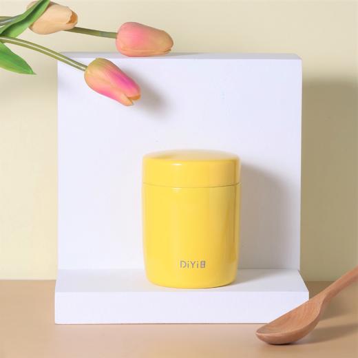 帝怡澜彩迷你焖烧罐 300ml  DY-BW658 商品图3