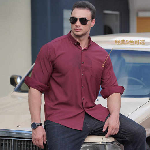 一口价【新款DM】多色加肥加大长袖衬衫显瘦高弹力休闲商务衬衫 商品图4