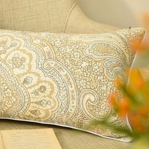 晨暮海佩斯利欧式简约沙发靠垫客厅靠包 商品图2