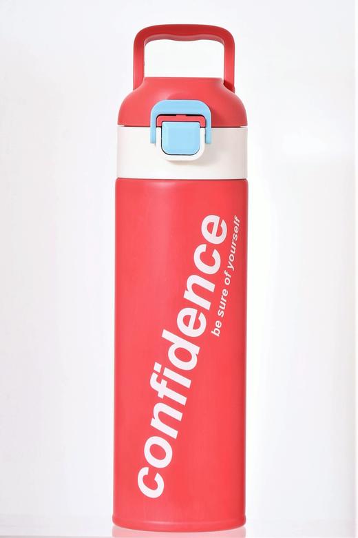 帝怡自信运动保温杯 500ml  DY-BW690 商品图1