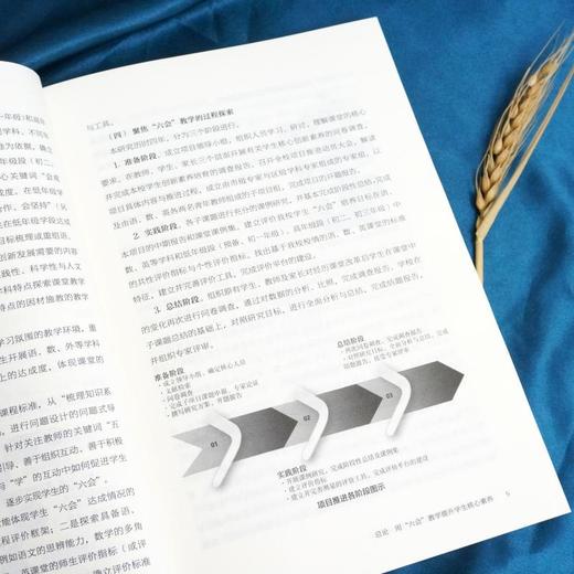 “六会”教学法：基于核心素养的课堂教学 商品图1