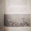 《中国绘画史》 潘天寿    著   上海书画出版社 商品缩略图2