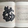 《权杖  怪石  禅与境》 水松石山房主人水墨集  藏新艺术有限公司  怪石  收藏  篆刻  水墨  书法  展览图录 商品缩略图3