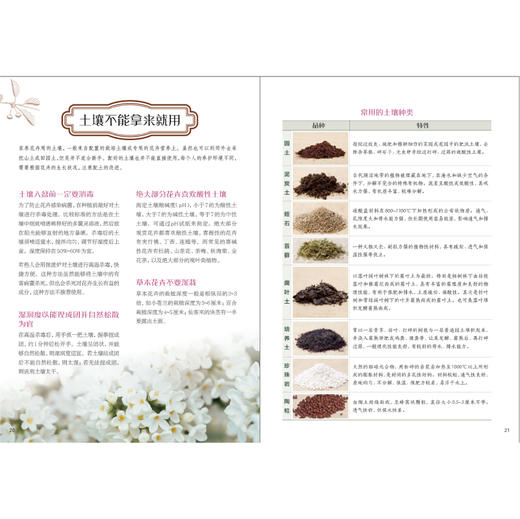 零基础学养花 商品图4