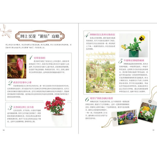 零基础学养花 商品图3