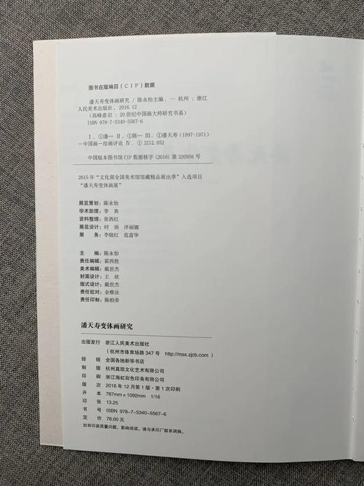 《潘天寿变体画研究》陈永怡 编 浙江人民美术出版社 商品图4