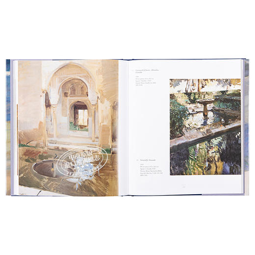 【中商原版】Sorolla 进口艺术 索罗拉 Rizzoli 商品图5
