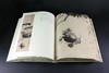 《明代花鸟画珍赏》 商品缩略图6