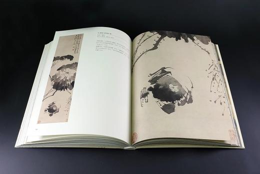 《明代花鸟画珍赏》 商品图6