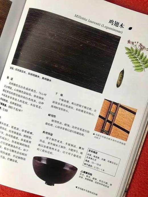 《识木 全球220种木材图鉴》[英] 特里·波特 著，洪健 译  华中科技大学出版社 商品图2