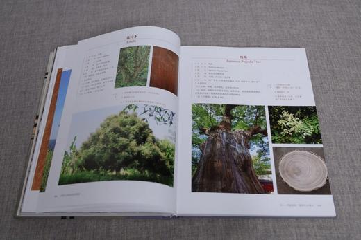嘉德文库 |《中国古代家具用材图鉴》 商品图7