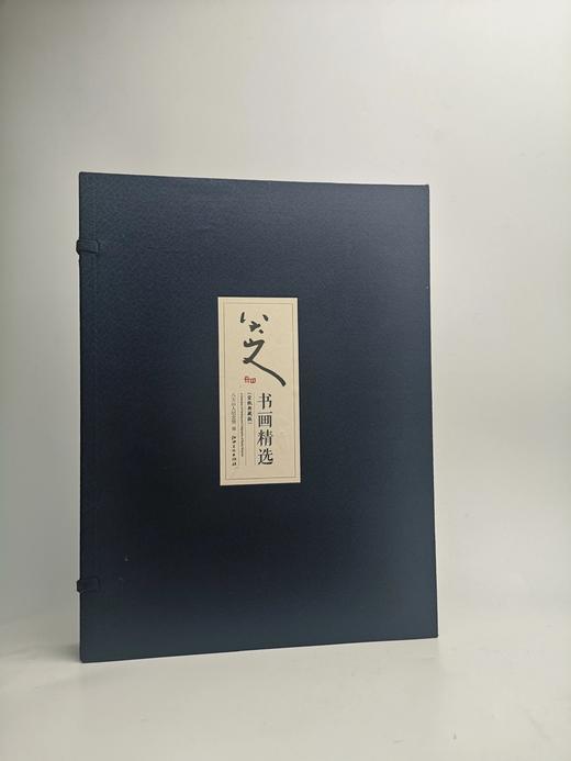 八大山人书画精选-宣纸典藏版 商品图0