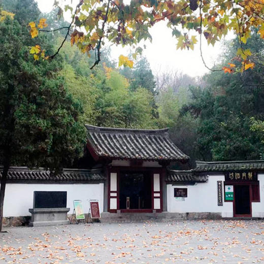 龙门金刚丨河南洛阳·洛阳龙门石窟·3.5小时精讲【大咖说®】 商品图4