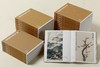 海派绘画大系（24册） 商品缩略图0