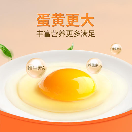 【12盒周期购】圣迪乐鲜蛋高端农场20枚/盒，限定直供 商品图6