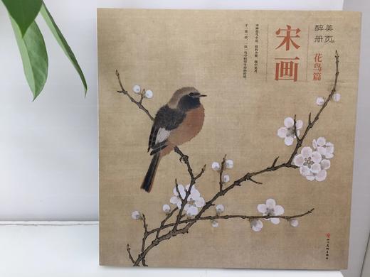 嘉德文库|宋画 花鸟篇 醉美册页 商品图0