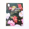 纸上花开 超唯美自然的纸艺花制作之书 商品缩略图0