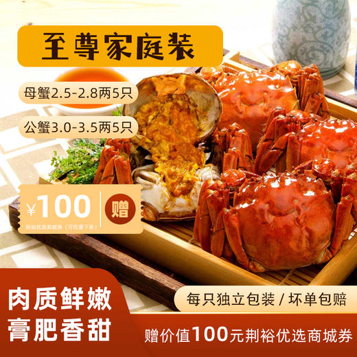 岩泉大闸蟹至尊礼盒实惠装2.5母5只3公5只【预售至10.15发货】 商品图1