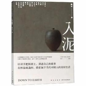 《入泥》 顾青 著    新星出版社