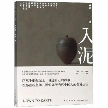 《入泥》 顾青 著    新星出版社 商品图0